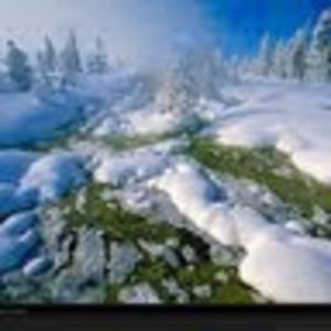 Meet your Posher, Layla